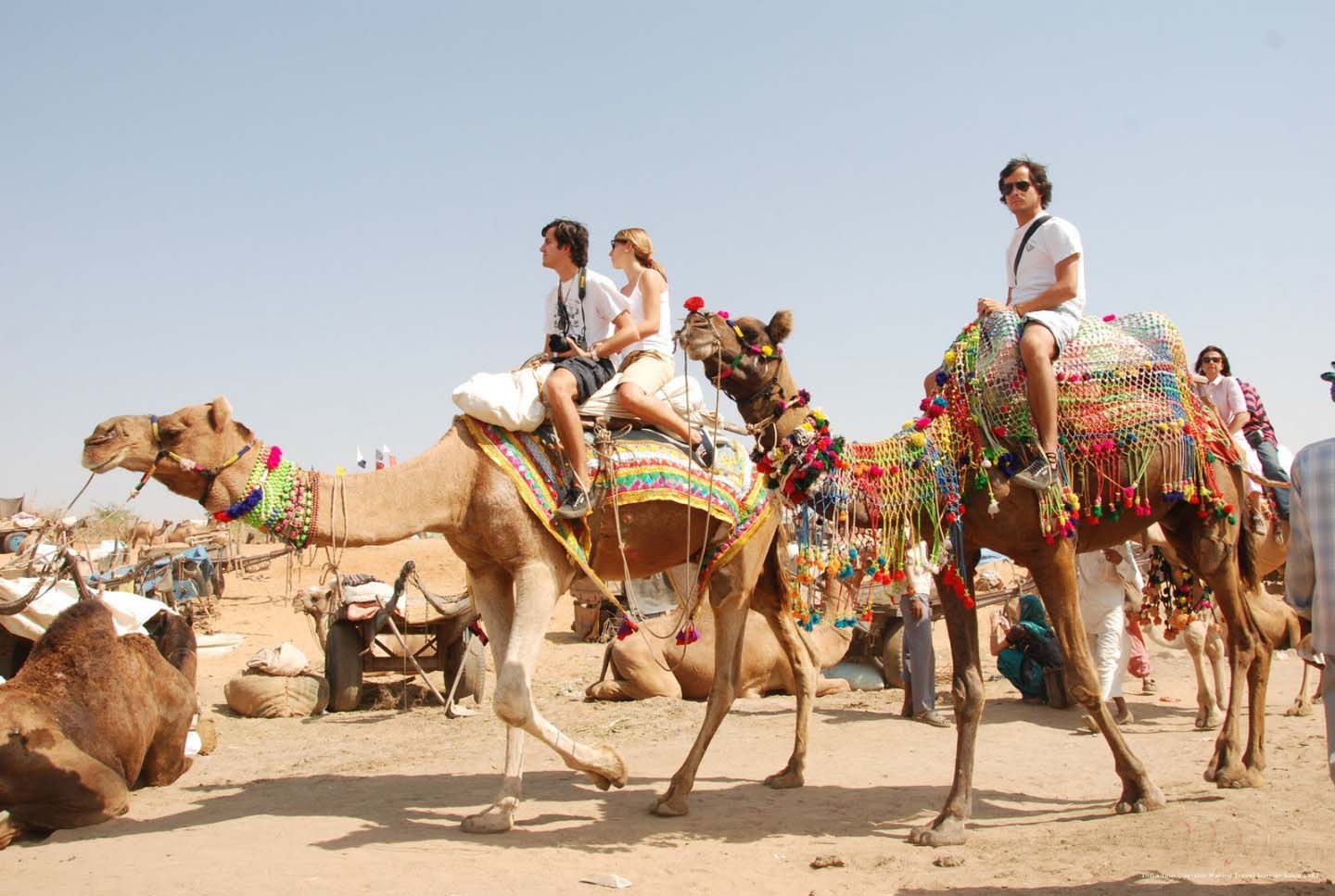 Historical Rajasthan, Jaipur-Pushkar-Bikaner-Jaisalmer-Jodhpur-Jaipur